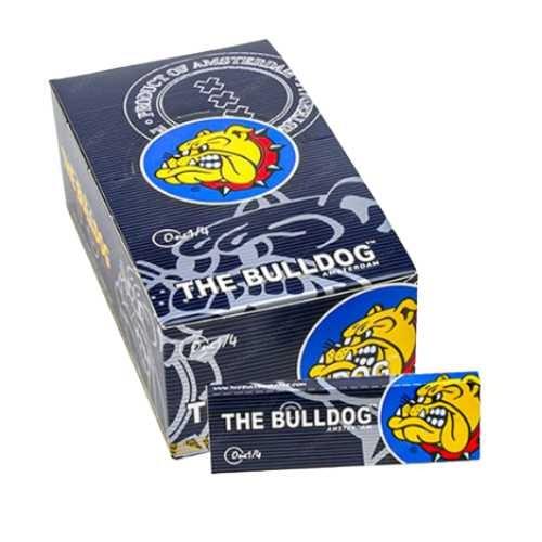SEDA THE BULLDOG BLACK M.S C/ 50