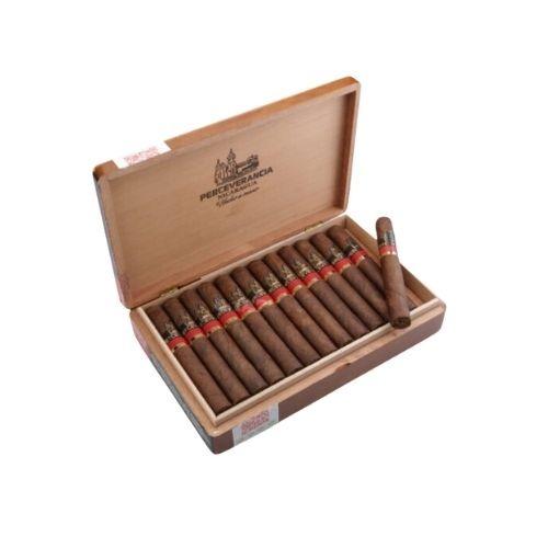 CHARUTO PERCEVERANCIA PREMIUM CANONAZO MF C/ 25 *