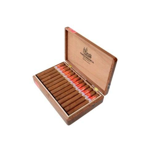 CHARUTO PERCEVERANCIA PREMIUM CANONAZO SU C/ 25 *
