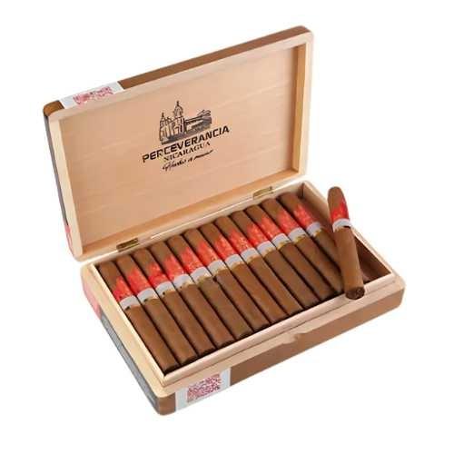 CHARUTO PERCEVERANCIA PREMIUM MAREVA SU C/25 *
