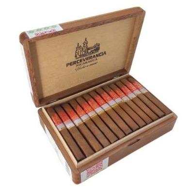 CHARUTO PERCEVERANCIA ROBUSTO PREMIUM C/ 25 *