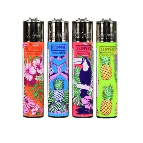 ISQUEIRO CLIPPER MAXXI TROPIC NATURE CX C/24